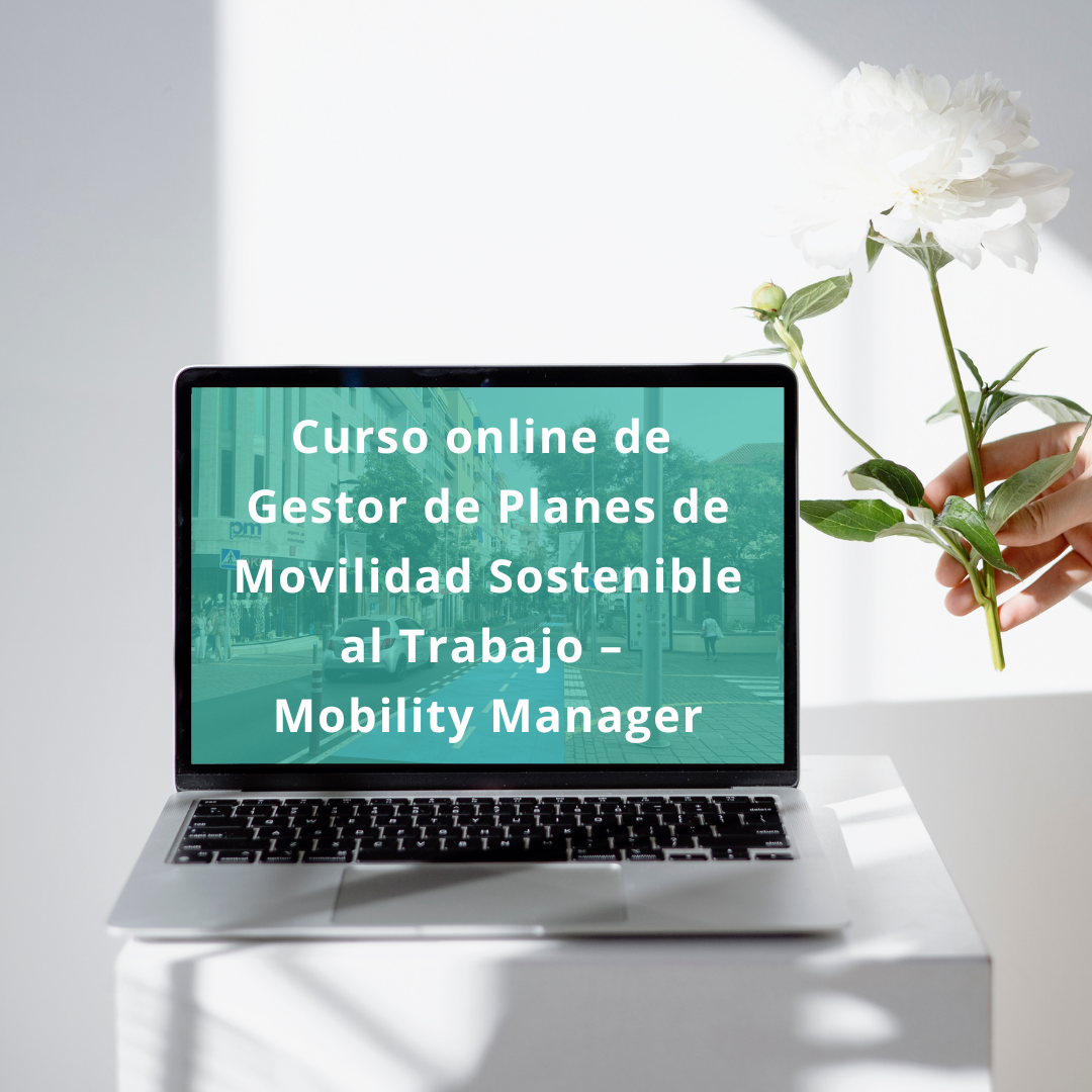 GESTOR DE PLANES DE MOVILIDAD SOSTENIBLE AL TRABAJO – MOBILITY MANAGER